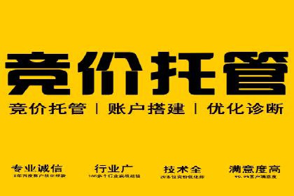 案例研究：关键词竞价排名效果评估